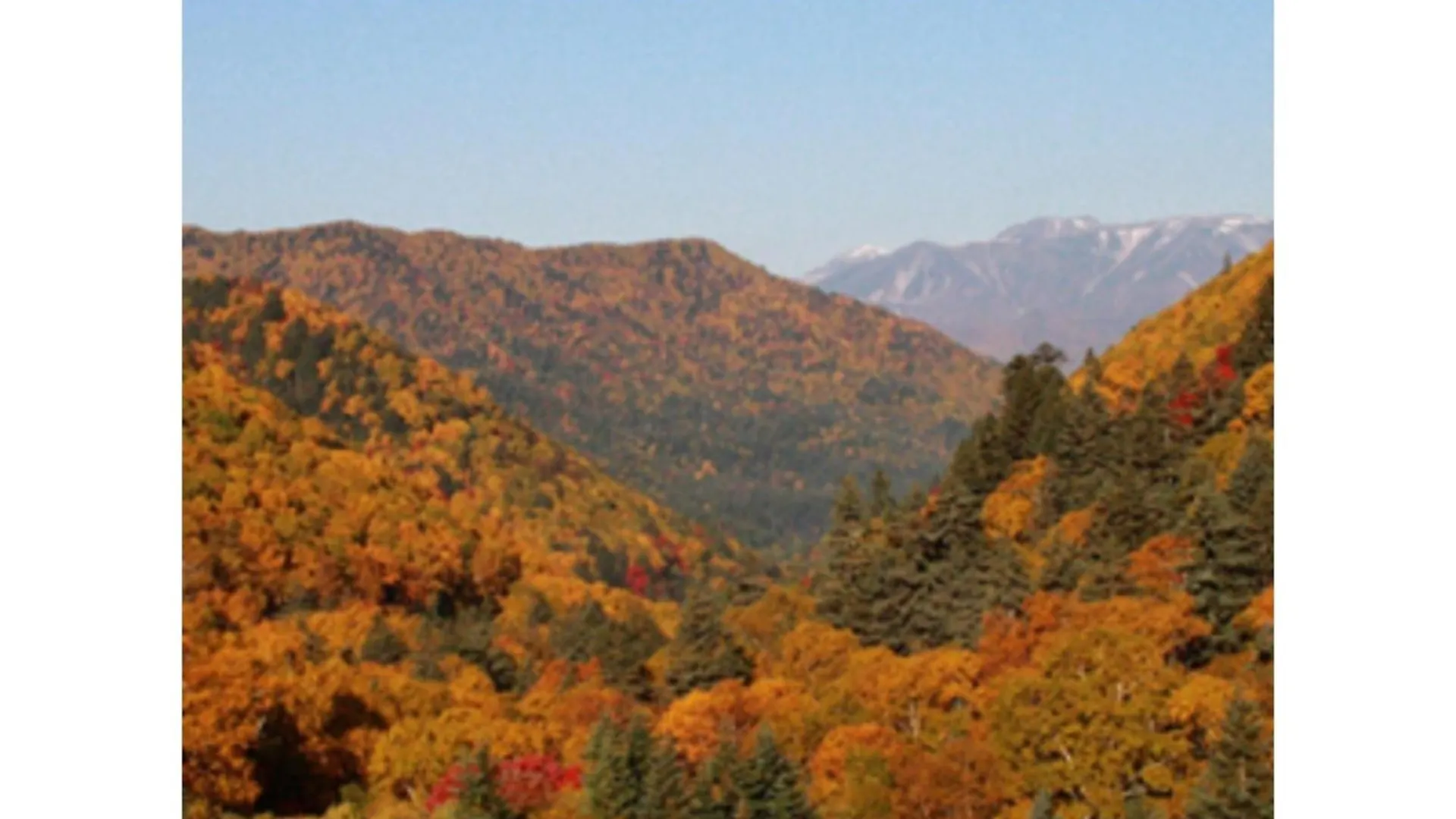 Mount View Hotel - Vacation Stay 40103V Kamikawa  Kamikawa (Hokkaido)